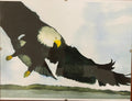 Eagle